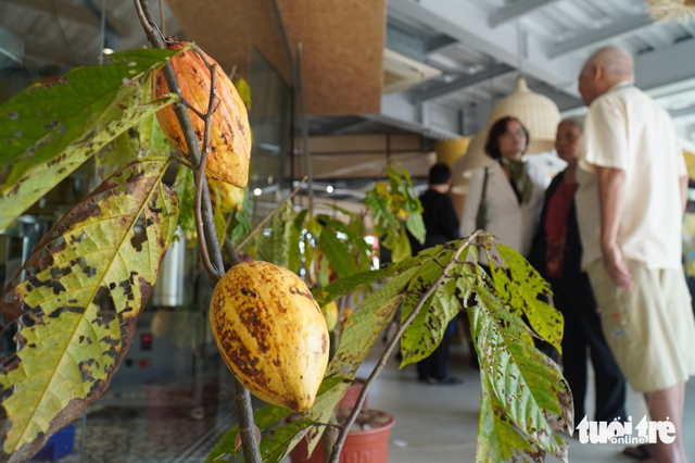 Visitors experience chocolate-making in southern Vietnam - Ảnh 1.