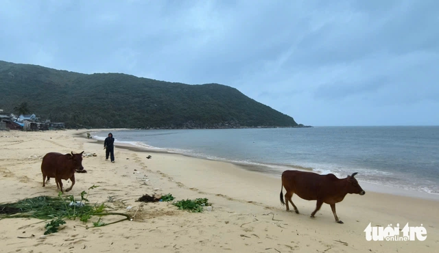 Gió và mưa bão Kalmaegi đã ảnh hưởng trên đất liền, dự báo bão vào bờ sớm hơn - Ảnh 4.