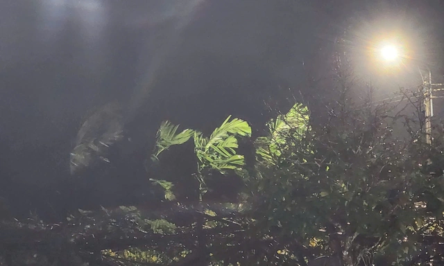 Tâm bão Kalmaegi cách bờ biển Quy Nhơn 20km, Lý Sơn sóng như nuốt cầu cảng - Ảnh 2.