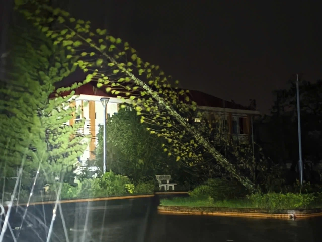 Bão Kalmaegi suy yếu xuống cấp 12, hàng trăm cuộc gọi cầu cứu - Ảnh 1.