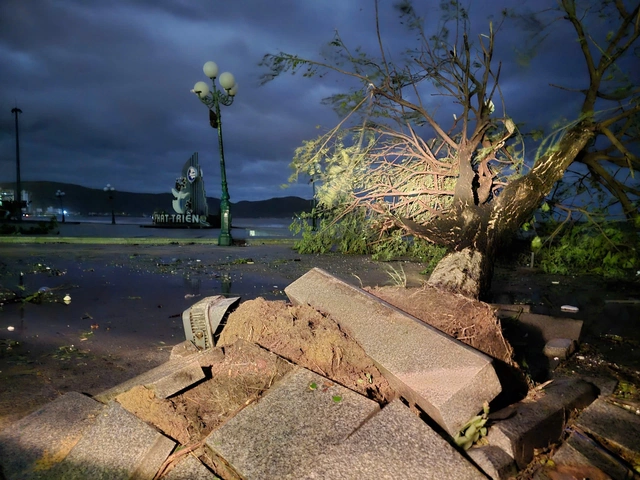 Bão Kalmaegi đang suy yếu nhanh, hàng trăm ngôi nhà tốc mái, cây xanh, trụ điện đổ la liệt - Ảnh 2.