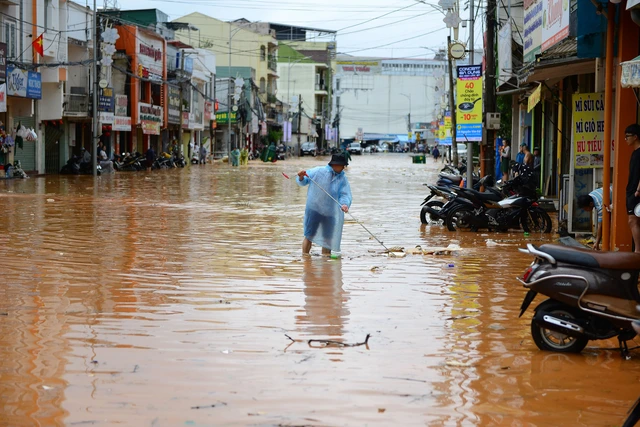 Storm Kalmaegi prompts school closures in Vietnam's Da Lat- Ảnh 1. Storm Kalmaegi prompts school closures in Vietnam's Da Lat- Ảnh 1.