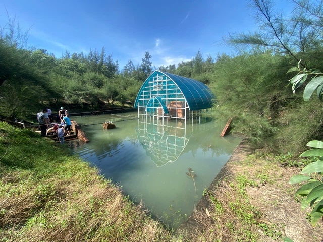 World-record Cham tower in Hue flooded after historic rainfall - Ảnh 1. World-record Cham tower in Hue flooded after historic rainfall - Ảnh 1.