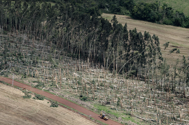 Tornado in southern Brazil kills six, injures hundreds - Ảnh 2.