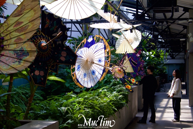 Triển lãm “Những thiên hình vạn trạng”: Khi người trẻ thổi sức sống mới vào di sản lọng bướm - Ảnh 1.