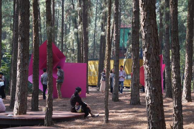 Vietnam’s pine-forest contemporary art museum marks decade of growth- Ảnh 7. Vietnam’s pine-forest contemporary art museum marks decade of growth- Ảnh 7.