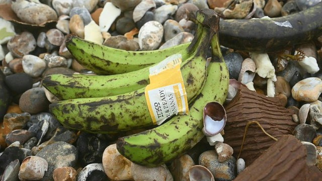 UK public urged to keep eyes peeled for washed-up bananas - Ảnh 1. UK public urged to keep eyes peeled for washed-up bananas - Ảnh 1.