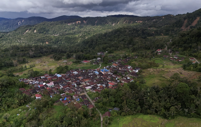 Orangutans at risk as Indonesia floods devastate habitat
- Ảnh 2. Orangutans at risk as Indonesia floods devastate habitat
- Ảnh 2.