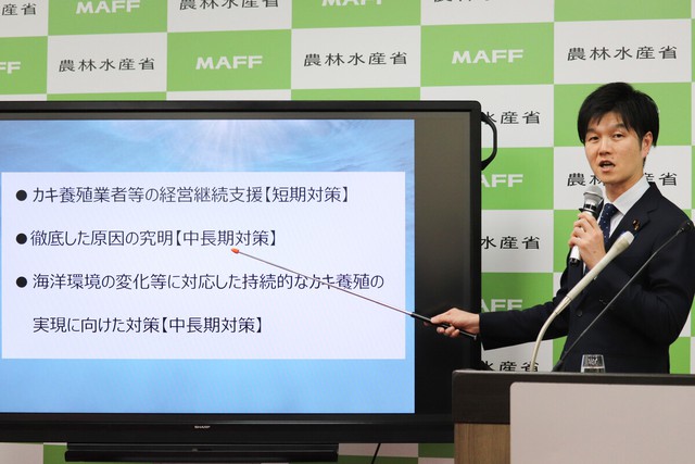 Japan unveils measures to tackle mass oyster deaths- Ảnh 1.