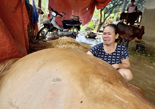 Historic floods in south-central Vietnam: from devastation to determined rebuilding - Ảnh 8.