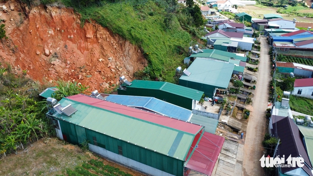 Landslides threaten 35ha pine hill, force evacuations in Vietnam’s Lam Dong- Ảnh 1.