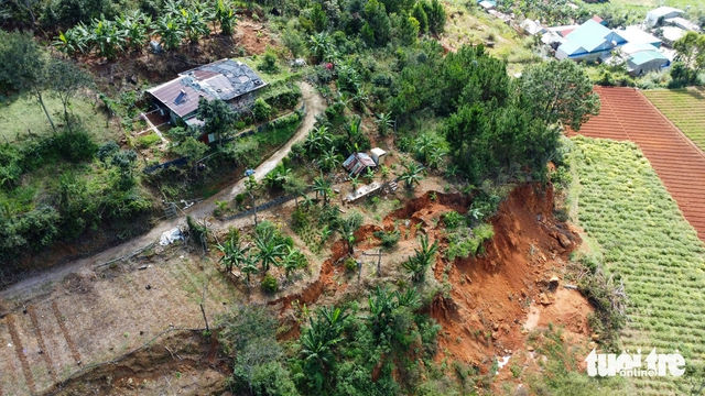 Landslides threaten 35ha pine hill, force evacuations in Vietnam’s Lam Dong- Ảnh 2.