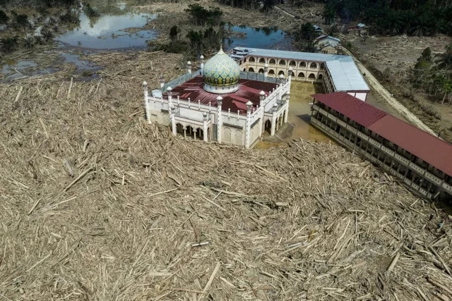 Nowhere to pray as logs choke flood-hit Indonesian mosque - Ảnh 1.