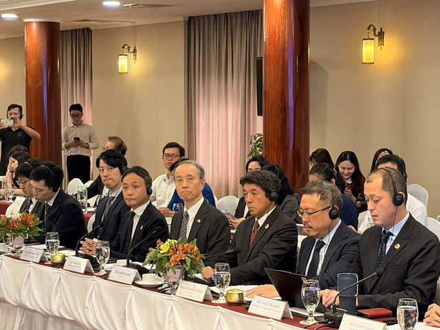 Japanese businesses urge Ho Chi Minh City to further improve immigration processing at city airport - Ảnh 1.