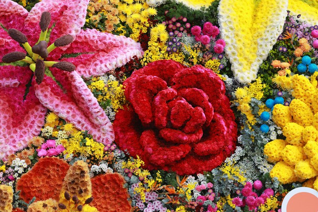 Bó hoa 10 tấn từ 108 loài hoa lập kỷ lục tại Vườn hoa Đà Lạt - Ảnh 3.