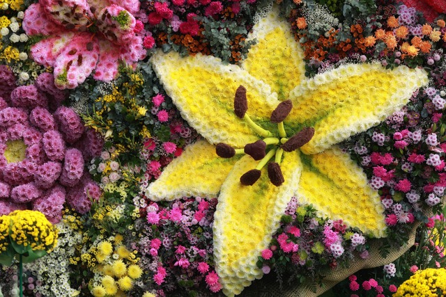 Bó hoa 10 tấn từ 108 loài hoa lập kỷ lục tại Vườn hoa Đà Lạt - Ảnh 2.