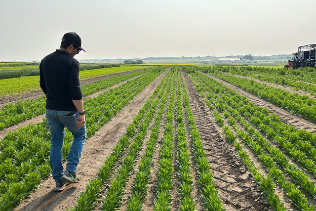 These farmers are producing record crops despite droughts and floods- Ảnh 7.
