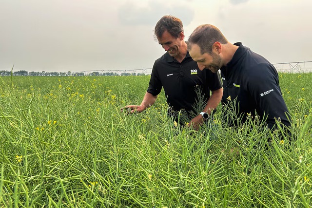 These farmers are producing record crops despite droughts and floods- Ảnh 2.
