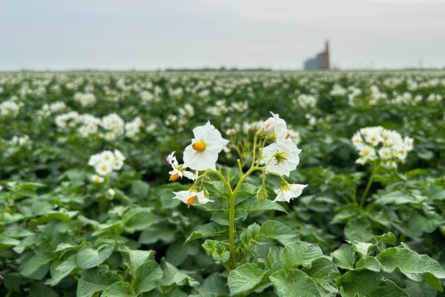 These farmers are producing record crops despite droughts and floods- Ảnh 4.