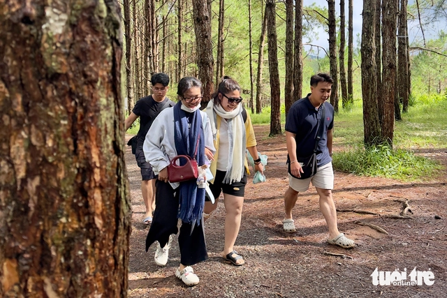 Vietnam tourism may hit record in 2025 as travelers increase spending: report- Ảnh 1.