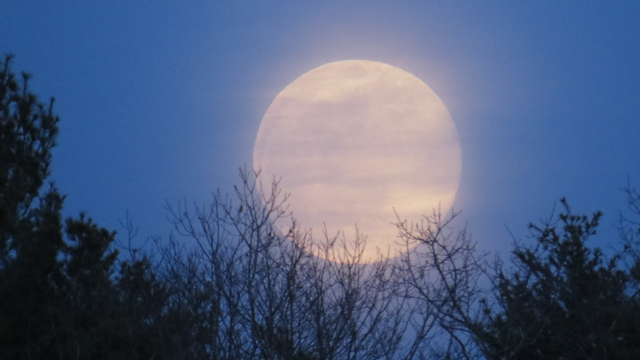 Những sự kiện thiên văn nổi bật tháng 12 - Ảnh 1.