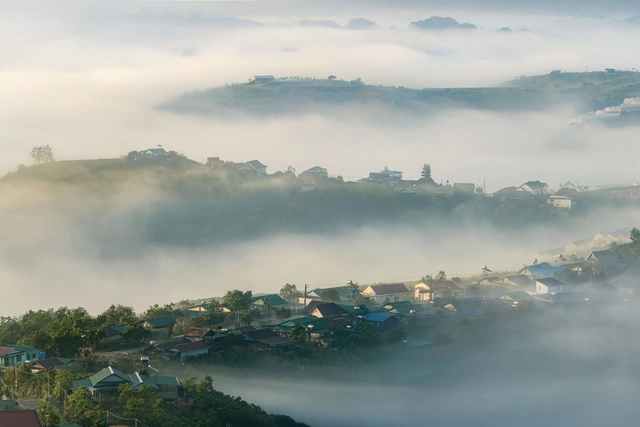 Vietnam’s Lam Dong breaks ground on $550mn forest-crossing expressway - Ảnh 3.