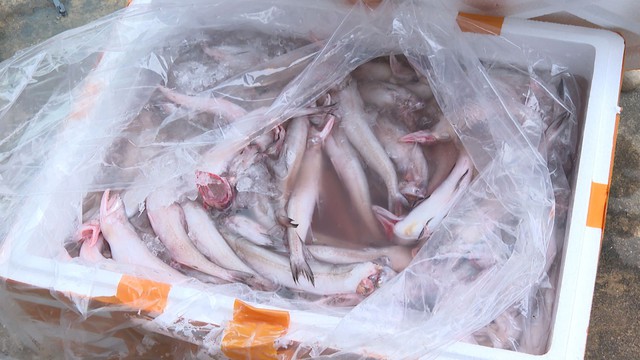 Vietnam seizes over 10 tonnes of Chinese fish found contaminated with formaldehyde- Ảnh 1.