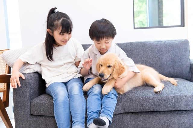 Having dogs likely boosts teens' social skills: study- Ảnh 1.