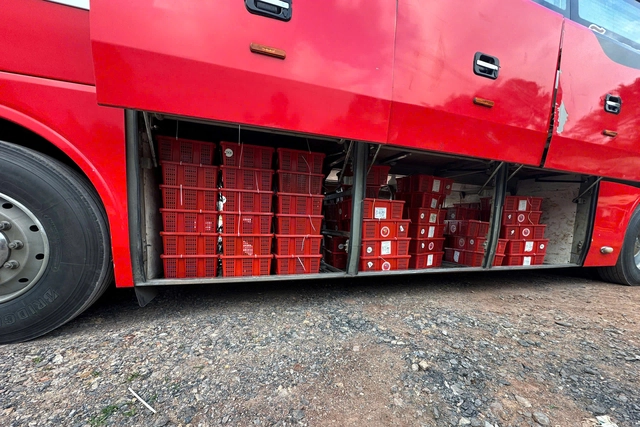 Vietnam police seize 676 king cobras smuggled from Laos- Ảnh 4.