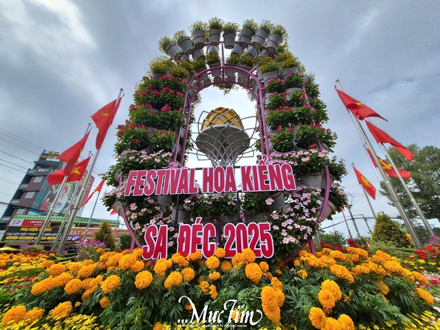Cận cảnh không khí Festival hoa kiểng Sa Đéc lần thứ II trong ngày khai mạc- Ảnh 2.