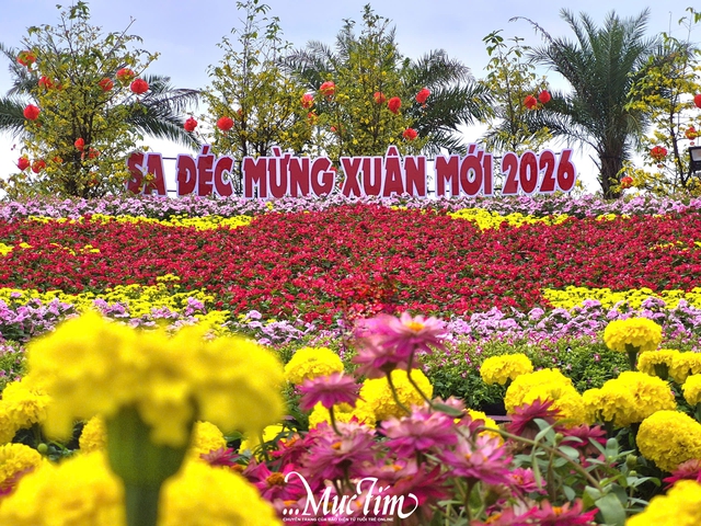 Cận cảnh không khí Festival hoa kiểng Sa Đéc lần thứ II trong ngày khai mạc- Ảnh 3.
