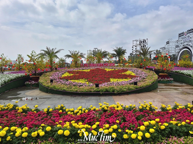 Cận cảnh không khí Festival hoa kiểng Sa Đéc lần thứ II trong ngày khai mạc- Ảnh 4.