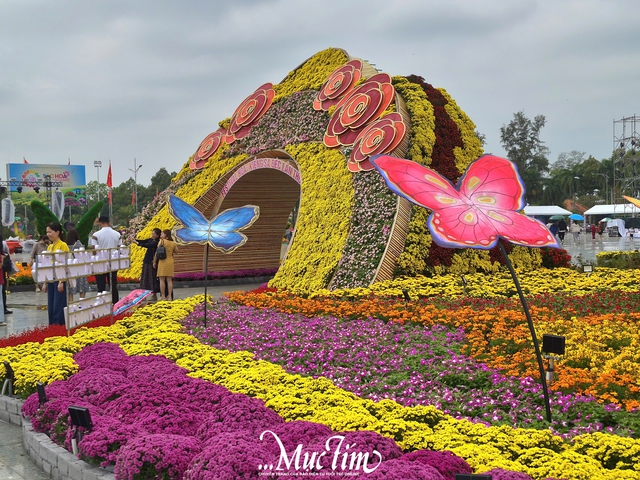 Cận cảnh không khí Festival hoa kiểng Sa Đéc lần thứ II trong ngày khai mạc- Ảnh 5.
