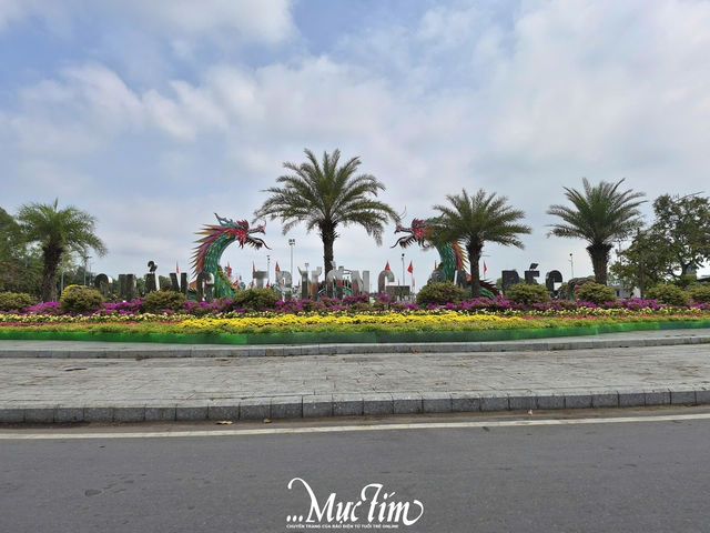 Cận cảnh không khí Festival hoa kiểng Sa Đéc lần thứ II trong ngày khai mạc- Ảnh 6.