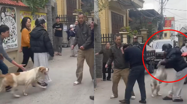 Hanoi police detain father, son over dog attack on neighbors- Ảnh 1.