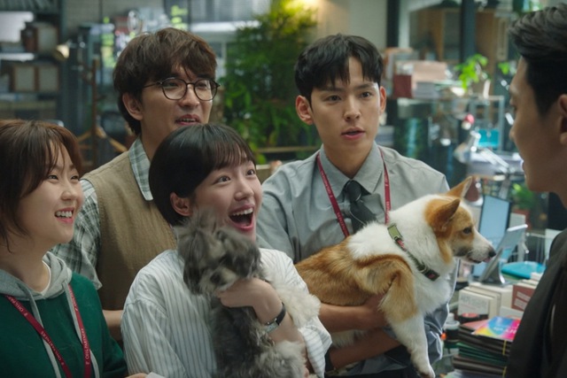 Phim Pro bono của Jung Kyung Ho bùng nổ, rating dẫn đầu đài cáp- Ảnh 6. Phim Pro bono của Jung Kyung Ho bùng nổ, rating dẫn đầu đài cáp- Ảnh 6.