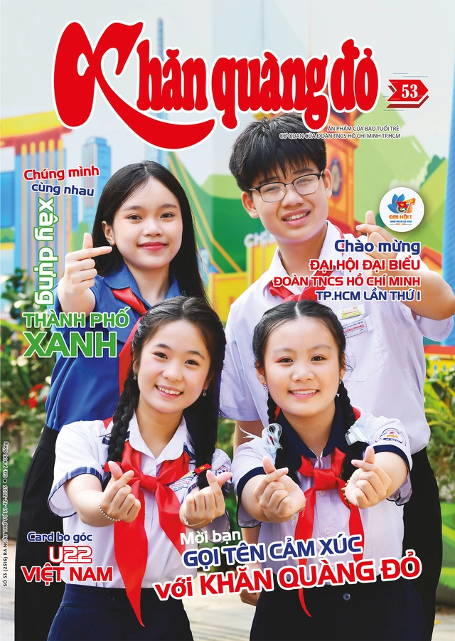 Trưởng thành Đội tiến lên Đoàn - Ảnh 5.