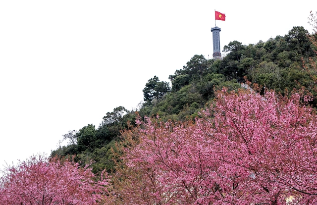 Breakfast @ Tuoi Tre News — December 31- Ảnh 1.