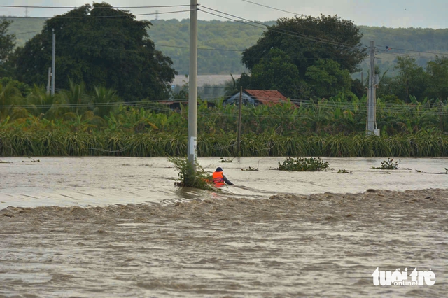  Emergency evacuation ordered in Vietnam’s Lam Dong as heavy flooding risk looms  - Ảnh 2.