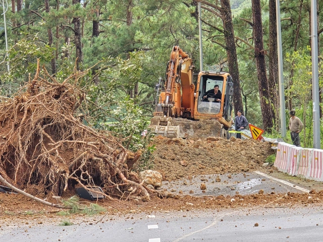 Major mountain passes leading to Vietnam’s Da Lat reopen after landslides- Ảnh 1.