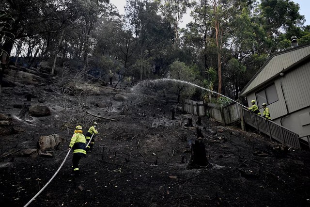 Australian bushfires raze homes in two states; firefighter dies- Ảnh 1. Australian bushfires raze homes in two states; firefighter dies- Ảnh 1.