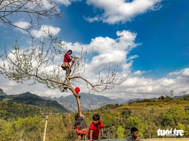 Vietnam’s Dong Van Karst Plateau wins top regional cultural destination award - Ảnh 1. Vietnam’s Dong Van Karst Plateau wins top regional cultural destination award - Ảnh 1.