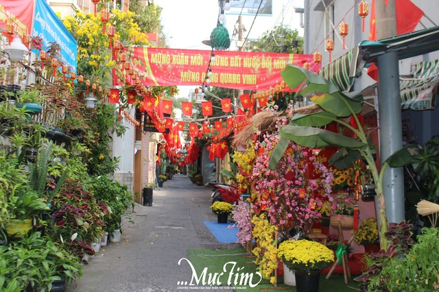 TP.HCM rợp cờ hoa mừng 95 năm Ngày thành lập Đảng Cộng sản Việt Nam- Ảnh 4.