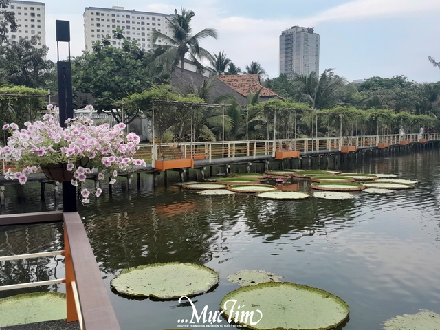 Lên lịch khám phá các quán cà phê ngắm metro tại TP.HCM- Ảnh 5.