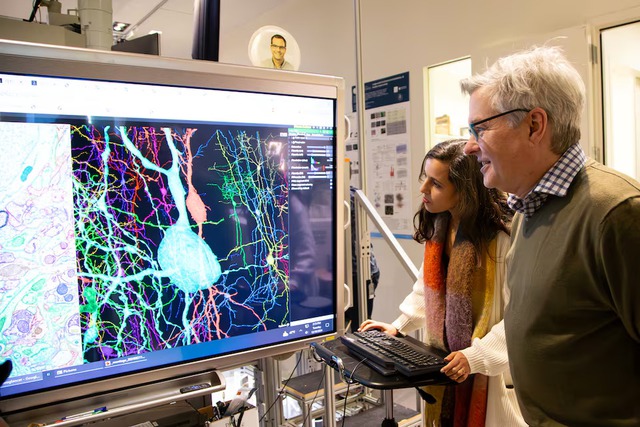 Scientists produce painstaking wiring diagram of a mouse's brain - Ảnh 1.