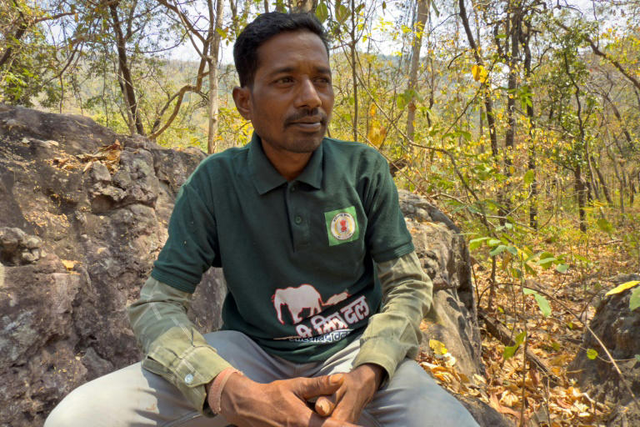 India's elephant warning system tackles deadly conflict- Ảnh 1. India's elephant warning system tackles deadly conflict- Ảnh 1.