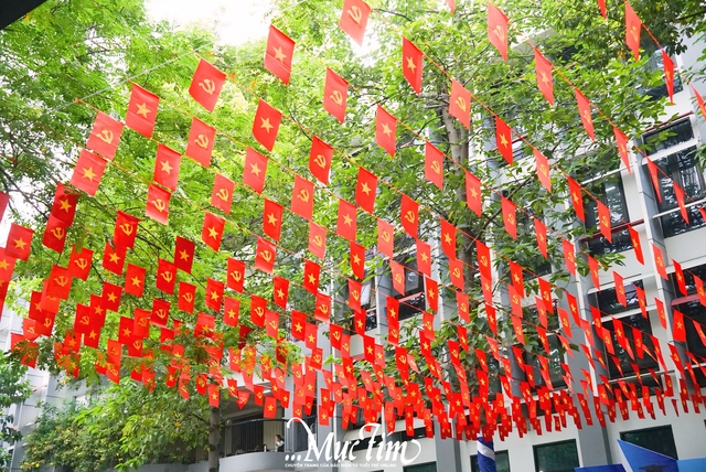 3 trường đại học tại TP.HCM trang trí cờ Tổ quốc rực rỡ cả giảng đường- Ảnh 2.