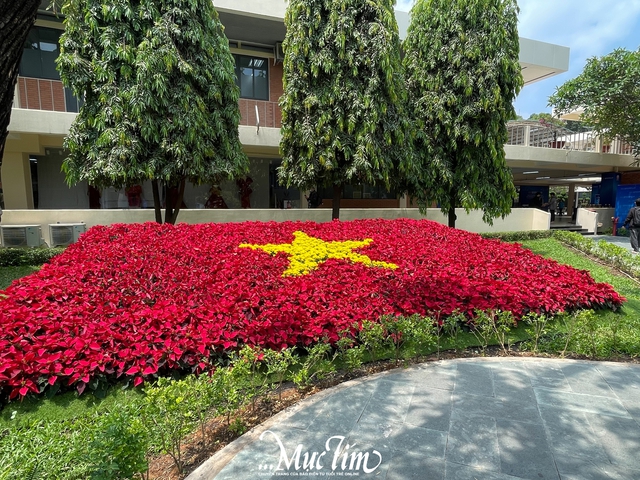 3 trường đại học tại TP.HCM trang trí cờ Tổ quốc rực rỡ cả giảng đường- Ảnh 9.