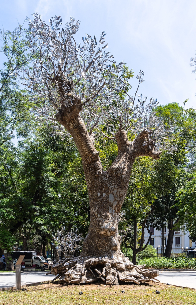 Striking Images of ‘Resurrection’: An art installation from fallen mahogany tree after typhoon Yagi in Hanoi - Ảnh 1.