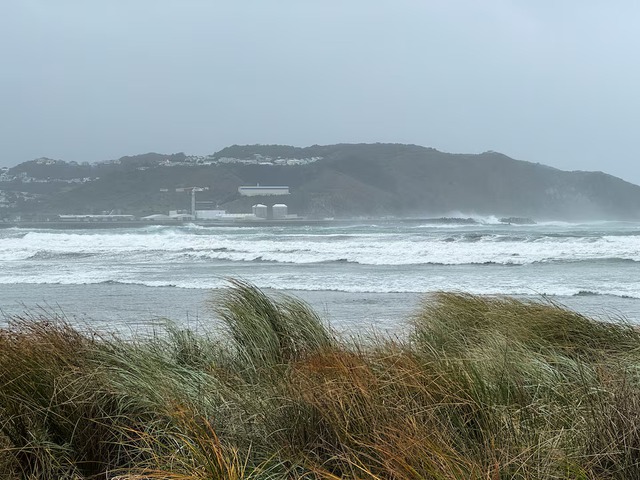 Wild weather in New Zealand disrupts flights, shutters schools- Ảnh 2. Wild weather in New Zealand disrupts flights, shutters schools- Ảnh 2.